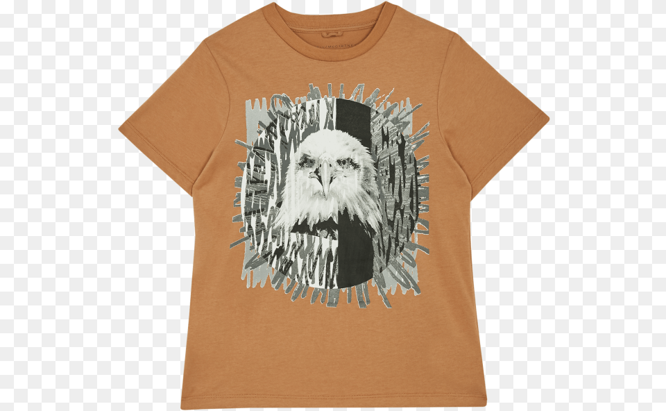 Chewbacca Download, Clothing, T-shirt, Animal, Bird Png