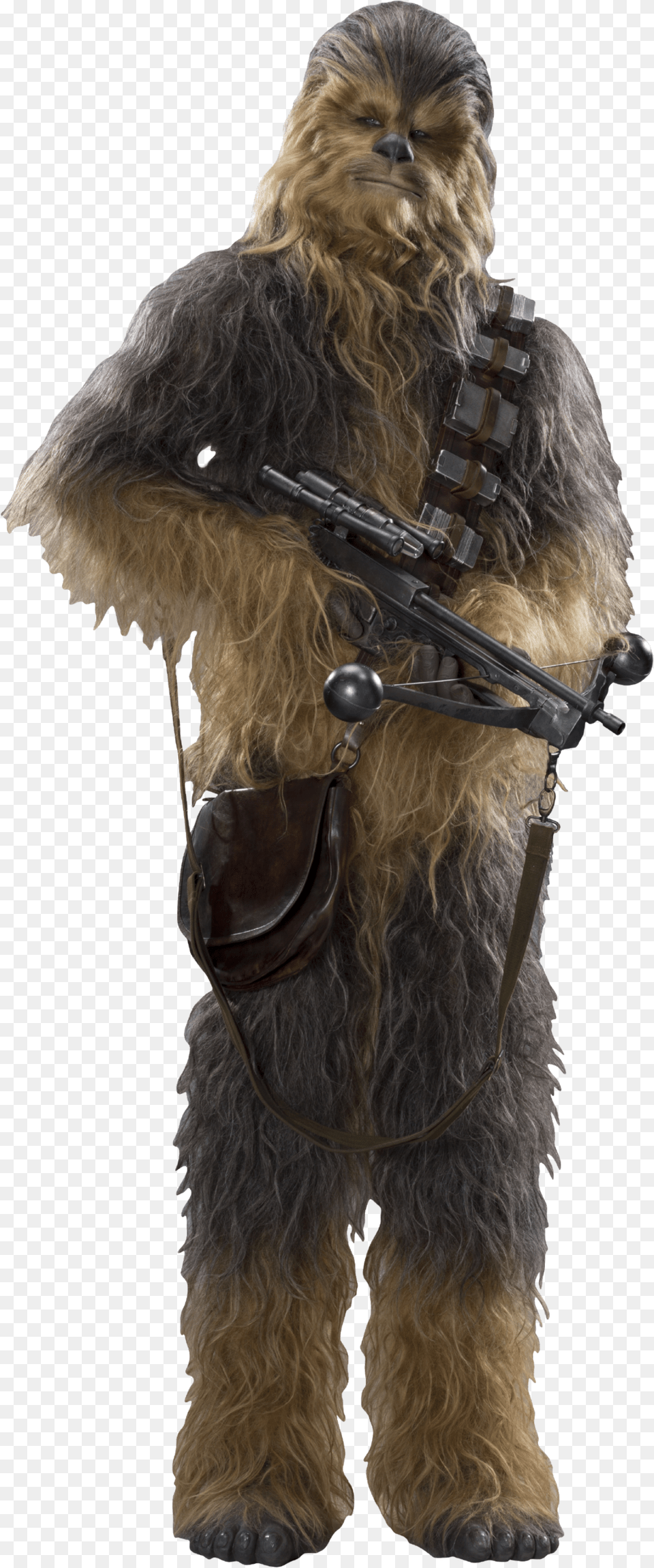 Chewbacca Star Wars Ep7 The Force Awakens Characters Star Wars Characters, Animal, Canine, Dog, Mammal Free Png