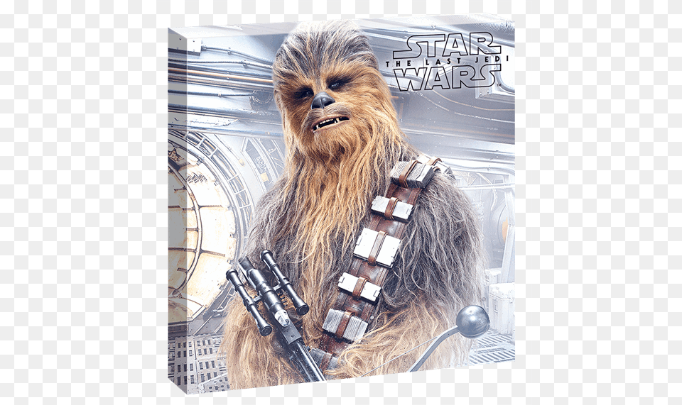 Chewbacca Star Wars Movie, Adult, Female, Person, Woman Free Png