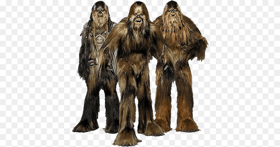 Chewbacca Star Wars Transparent Wookie Race, Animal, Ape, Mammal, Wildlife Png