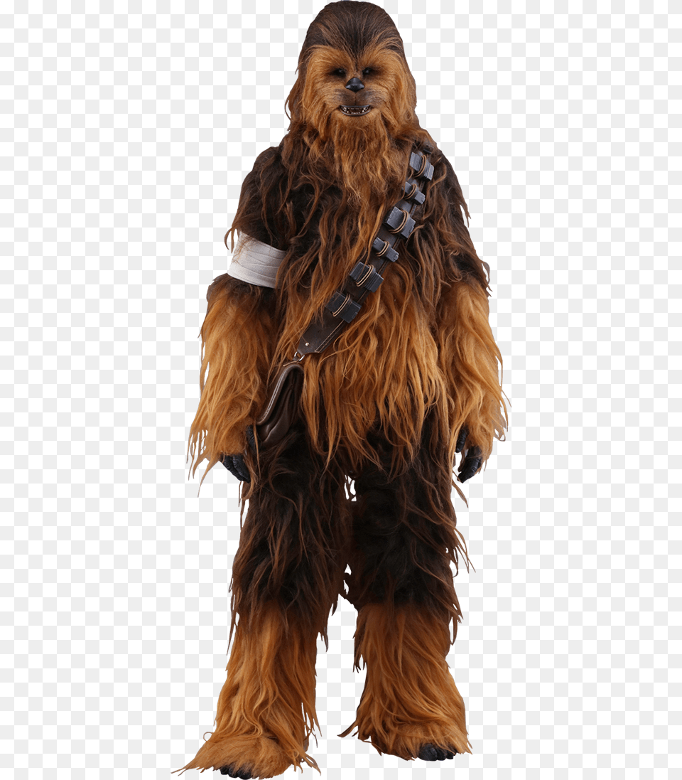 Chewbacca The Force Awakens, Girl, Child, Person, Female Free Png