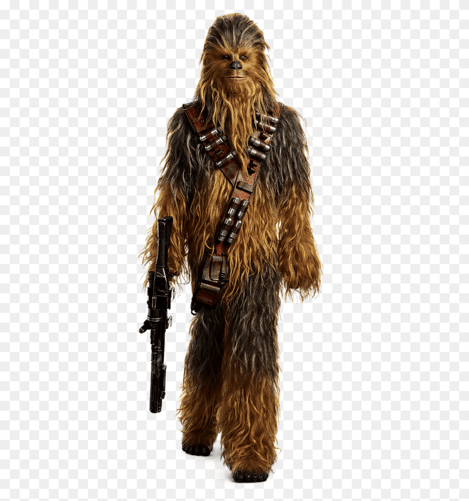 Chewie Solo A Star Wars Story Cut Out Star Wars Chewbacca, Animal, Canine, Dog, Mammal Png Image