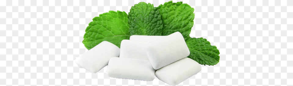 Chewing Gum, Herbal, Herbs, Plant, Mint Free Transparent Png
