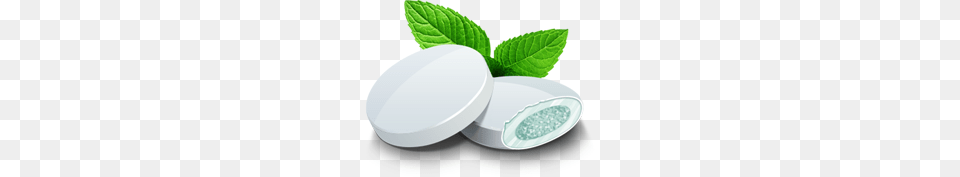 Chewing Gum, Herbal, Herbs, Mint, Plant Free Png