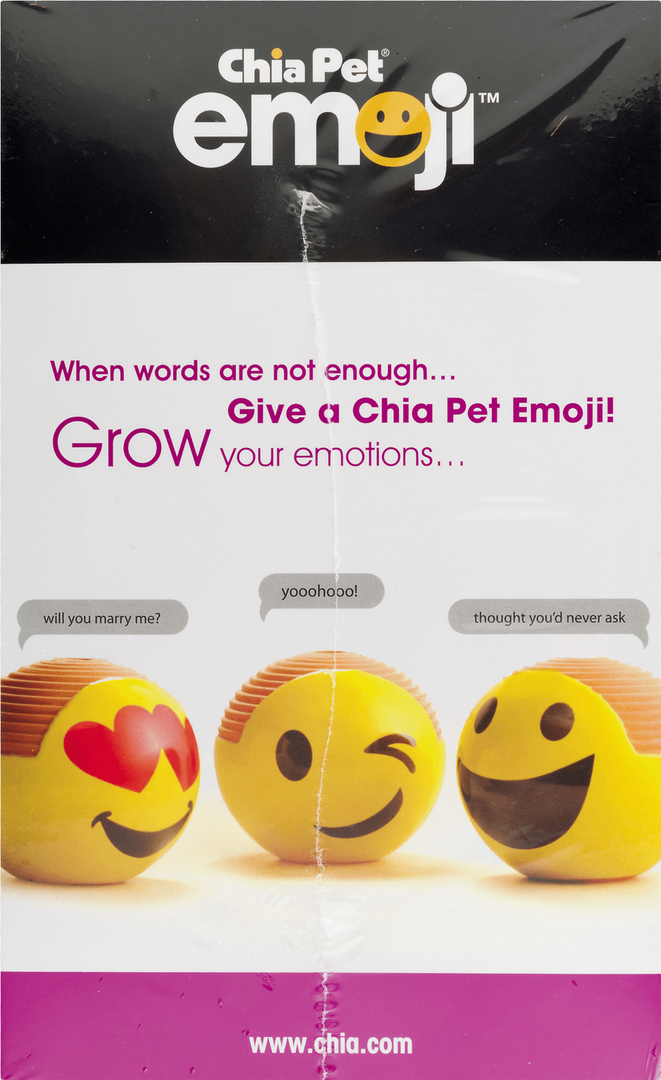 Chia Pet Emoji Heart Eyes Handmade Decorative Planter, Advertisement, Poster, Toy Free Png