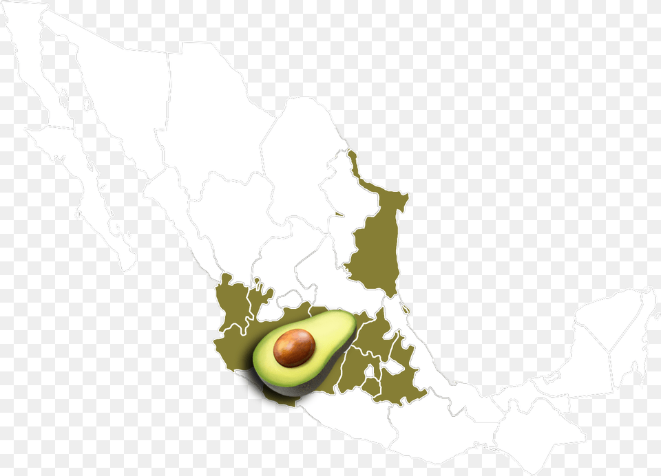 Chia Seed Origin Map, Avocado, Food, Fruit, Plant Png