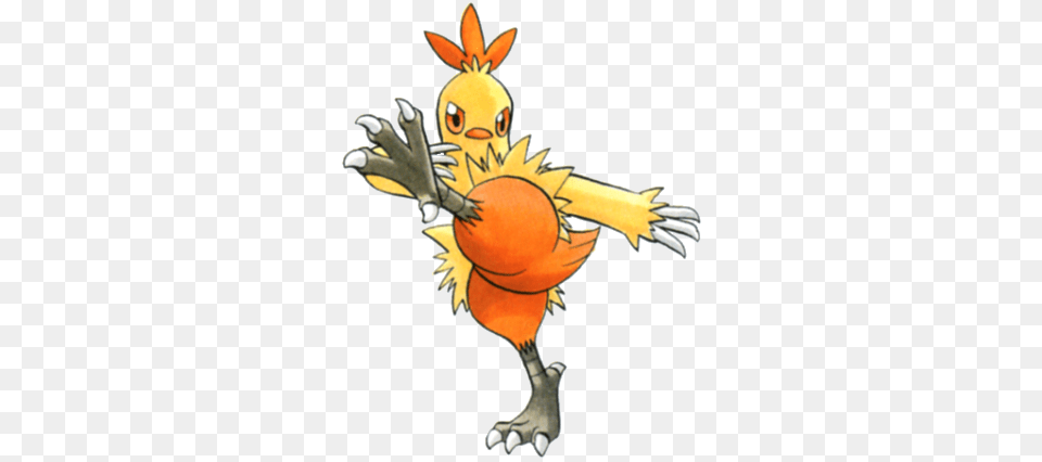 Chic Combusken Combusken, Animal, Dinosaur, Reptile Png Image