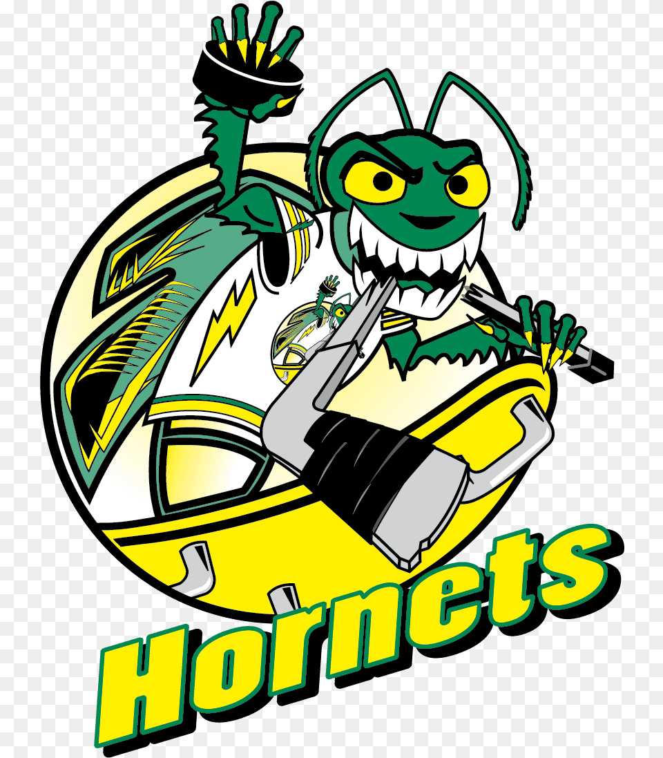 Chicago Blackhawks Hornets Fictional Character, Grass, Plant, Face, Head Free Png