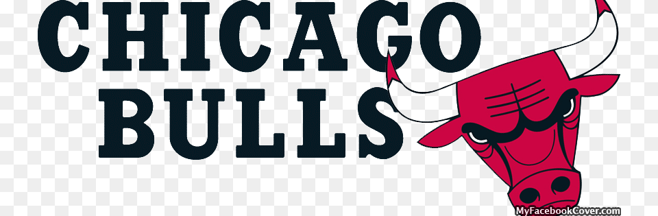 Chicago Bulls, Animal, Bull, Mammal, Cattle Png Image