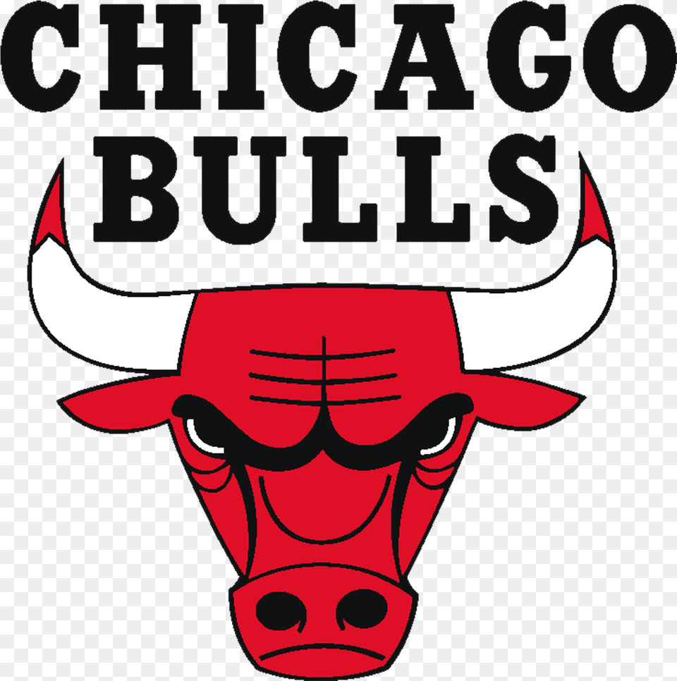 Chicago Bulls, Animal, Bull, Mammal, Baby Free Transparent Png