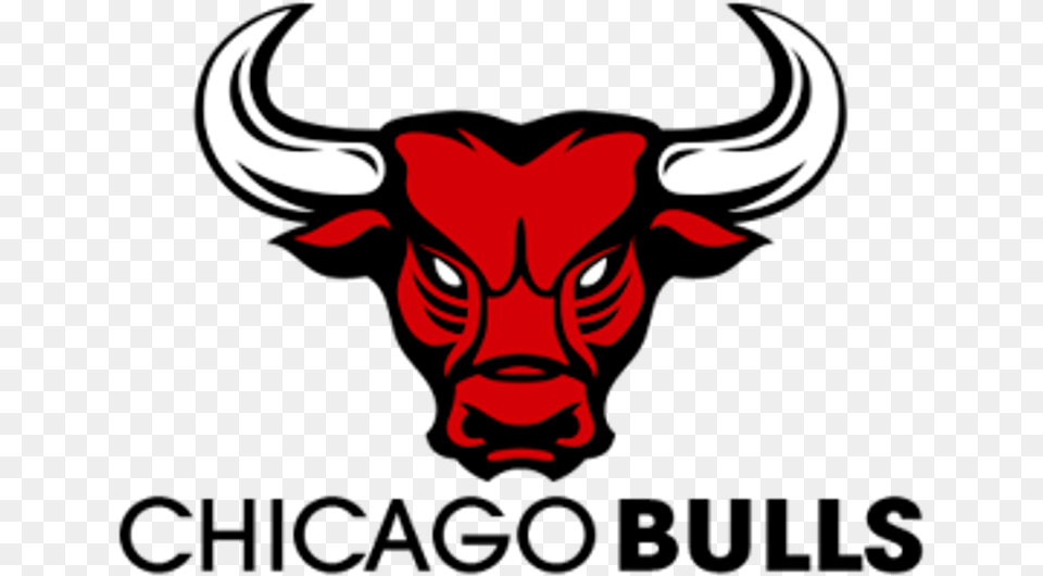 Chicago Bulls Logo Hd, Animal, Mammal, Bull, Wildlife Free Png