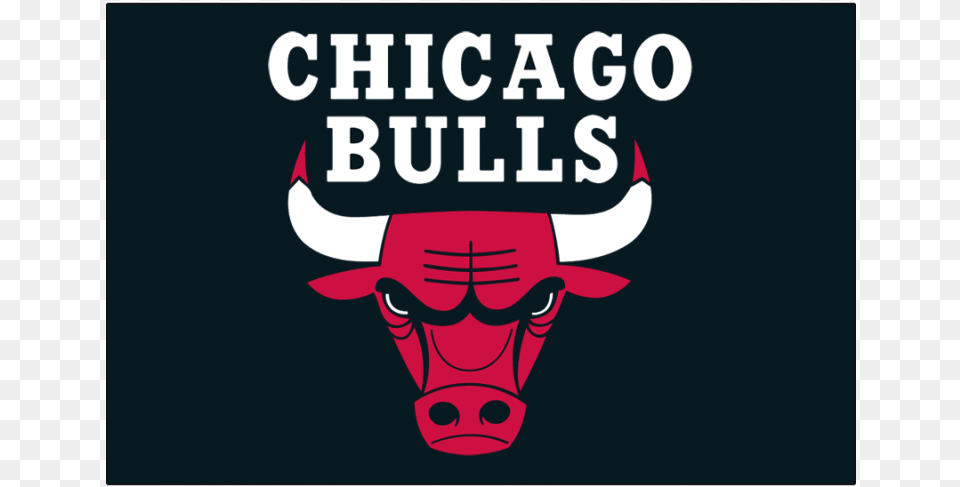 Chicago Bulls Logos Iron Ons Chicago Bulls Hd Background, Animal, Bull, Mammal, Sticker Free Png