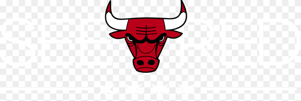 Chicago Bulls Photos Chicago Bulls Png Image