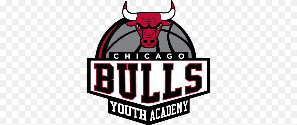 Chicago Bulls Youth Academy, Scoreboard, Sticker, Baby, Person Free Png Download