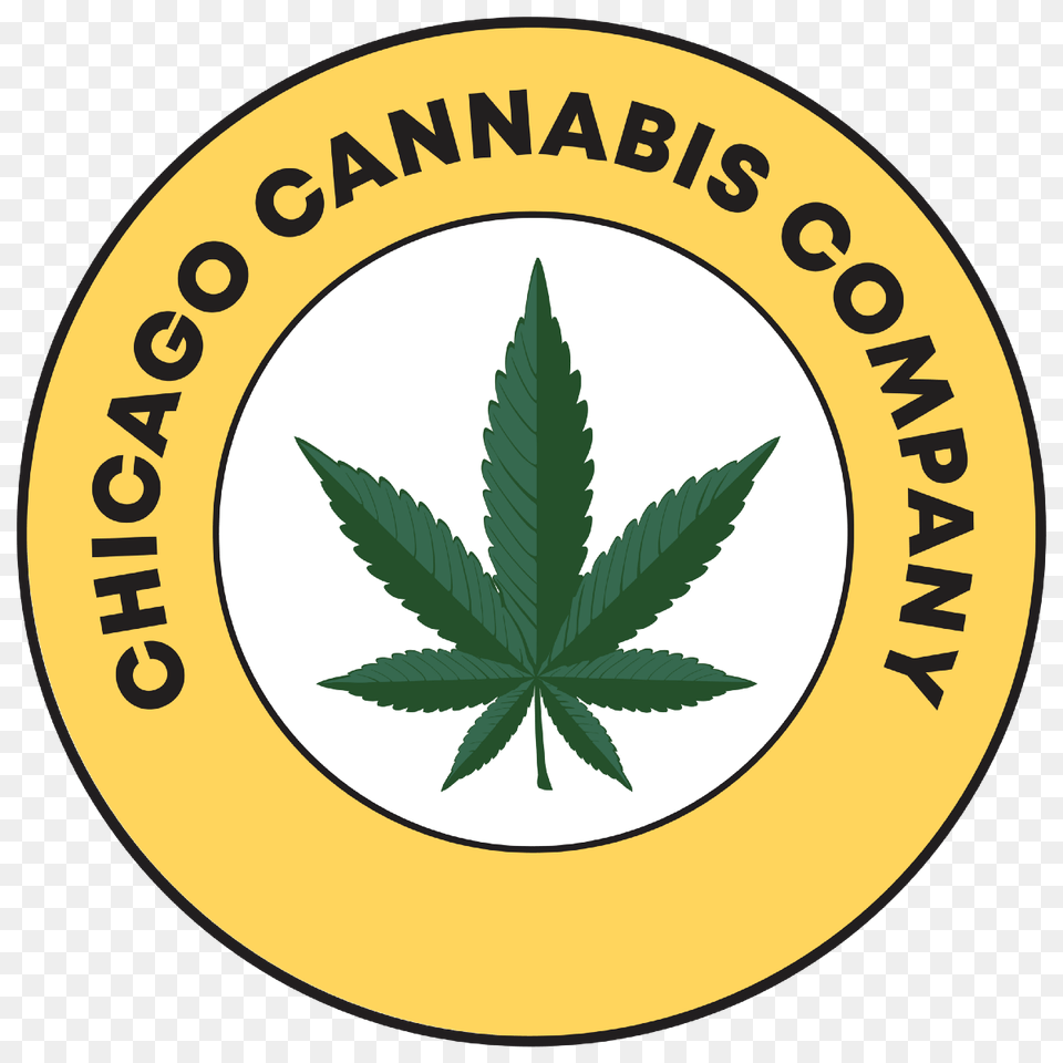 Chicago Cannabis Company Blog Medium, Leaf, Plant, Weed, Hemp Png Image