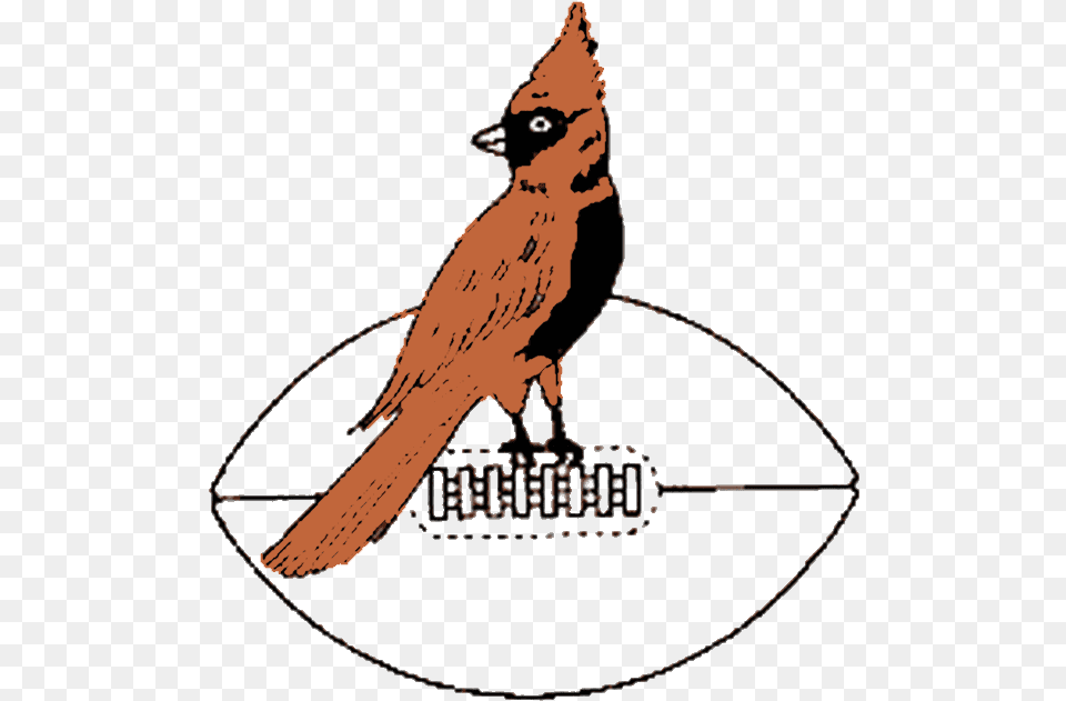 Chicago Cardinals Logo And History Chicago Cardinals 1947 Logo, Animal, Bird, Jay, Cardinal Png