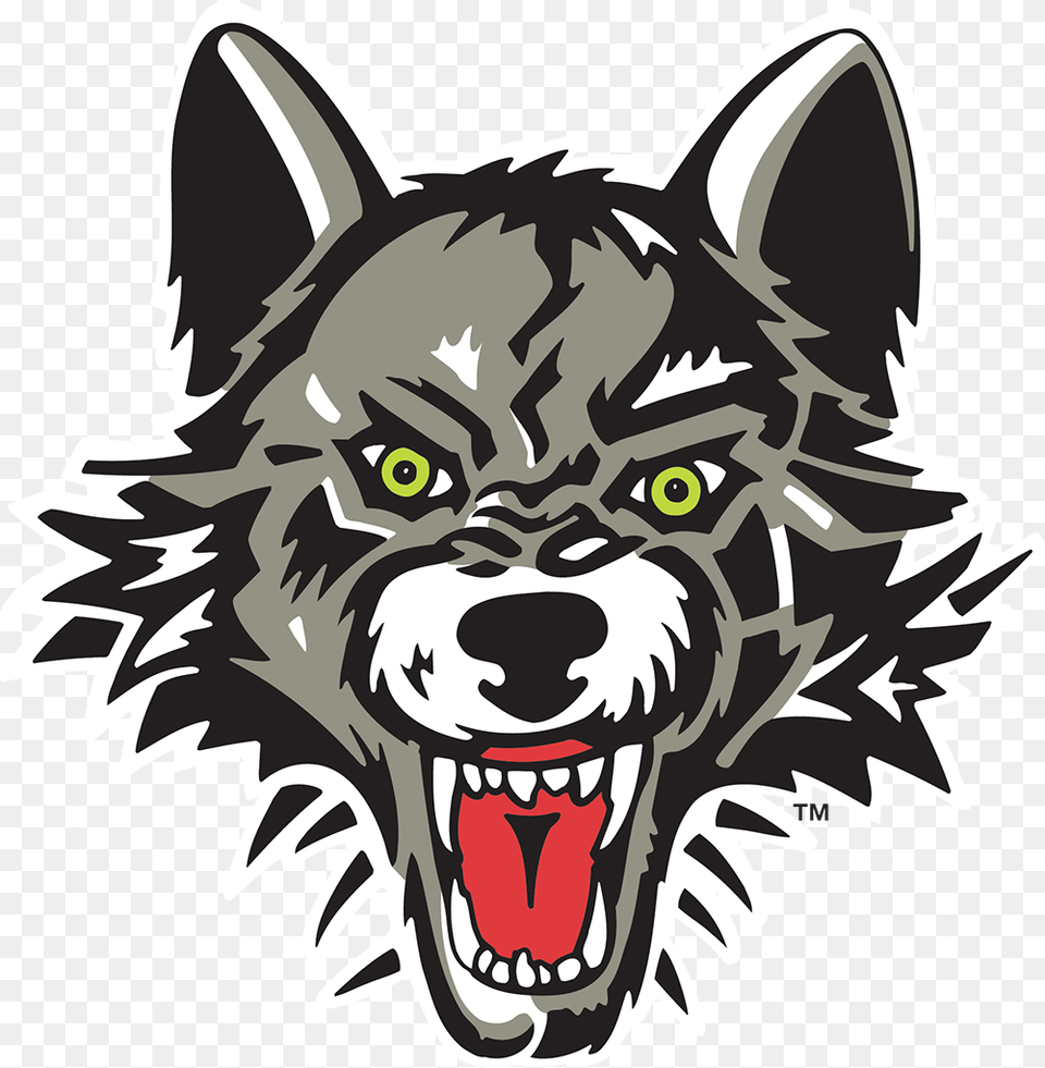 Chicago Wolves In Rosemont Il Chicago Wolves, Animal, Mammal, Wolf, Face Free Png Download