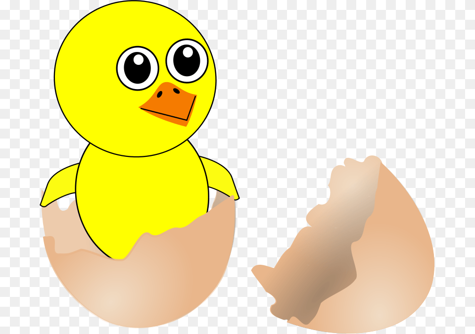 Chick 006 Newborn Egg Cartoon, Food, Face, Head, Person Png