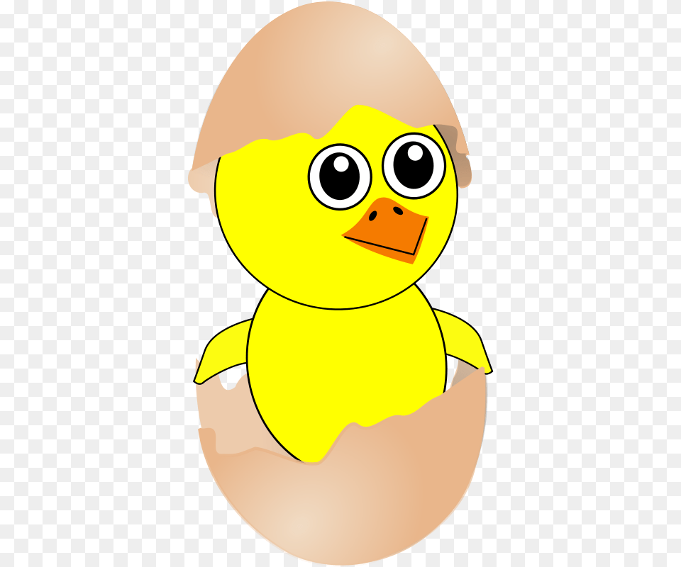 Chick 007 Newborn Egg Cartoon, Baby, Person, Face, Head Png Image