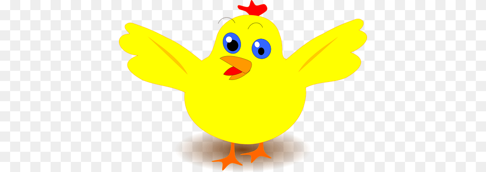 Chick Animal, Bird, Fowl, Poultry Free Png