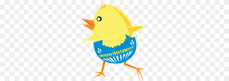 Chick Animal, Bird Free Png