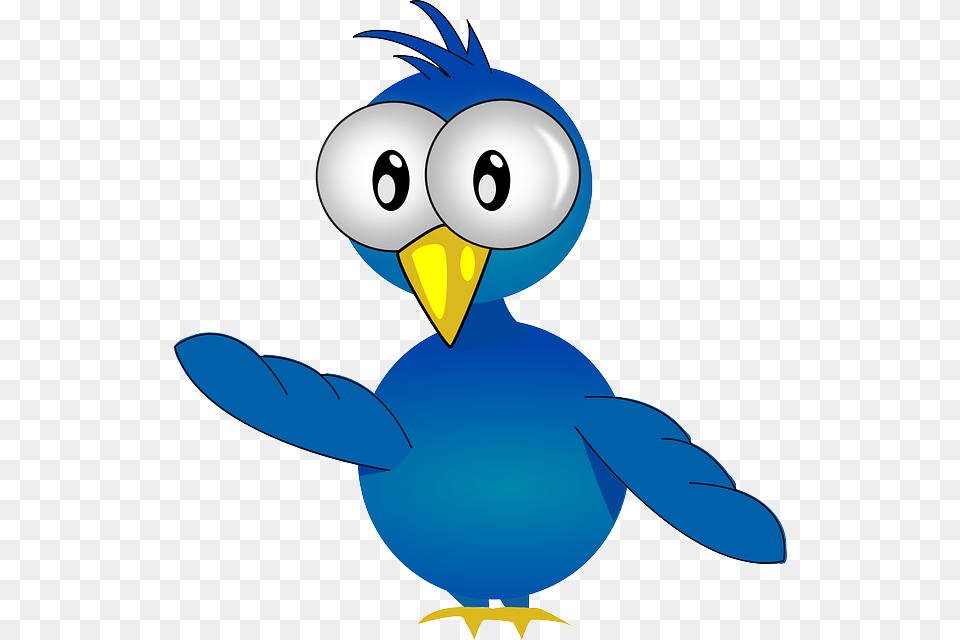 Chick 640 Pixabay Big Eyed Cartoon Bird, Animal, Jay, Nature, Outdoors Png