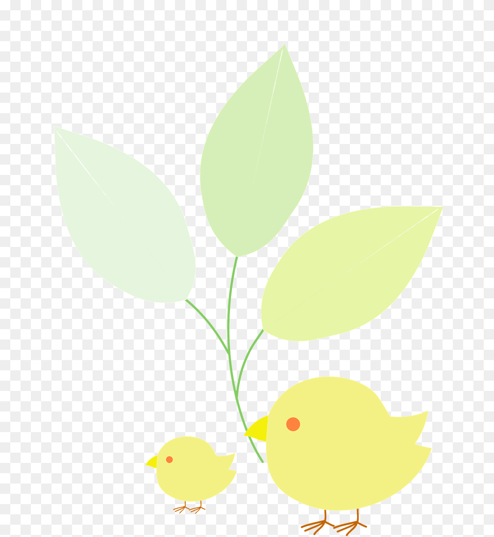 Chick And Bird Clipart, Plant, Leaf, Animal, Produce Png
