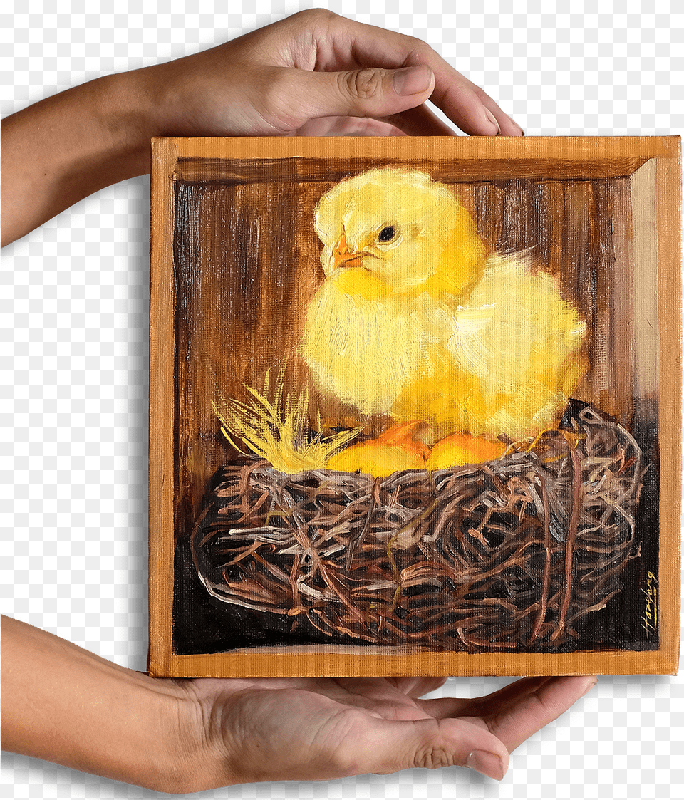 Chick And Nest In Wooden Box Picture Frame, Person, Animal Free Png Download