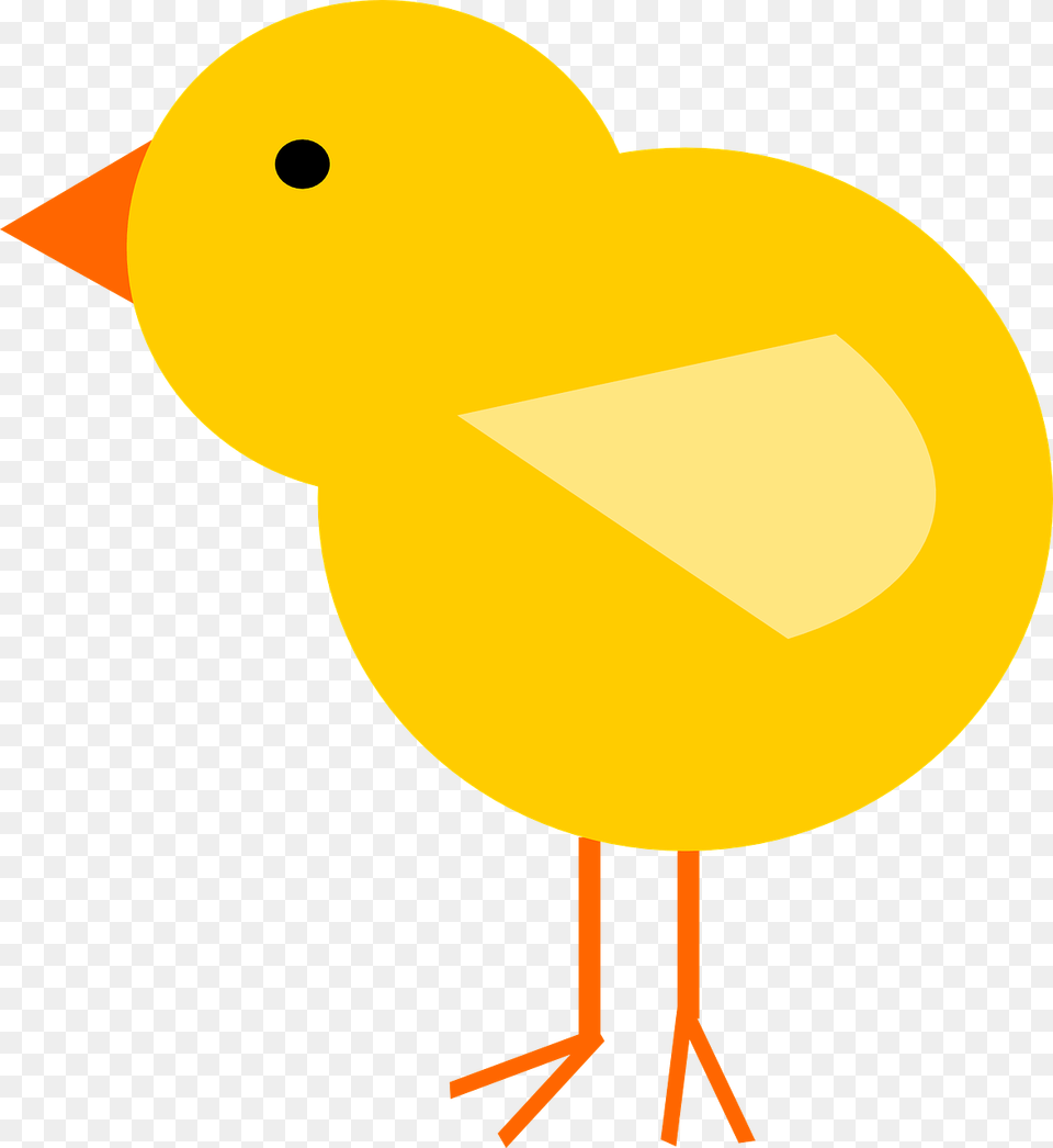 Chick Bird Easter Spring Animal Feather Chick Clipart Free Png