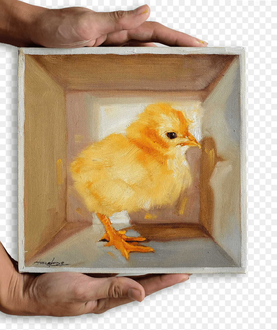 Chick Chicken Png