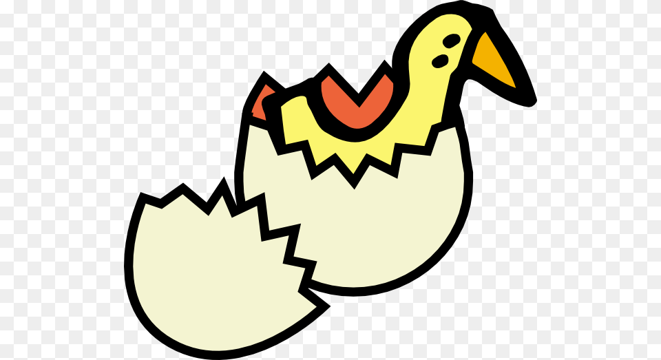Chick Clip Art, Animal, Beak, Bird Free Transparent Png