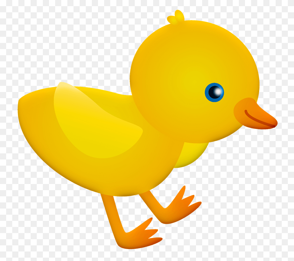 Chick Clipart, Animal, Bird, Duck Png Image
