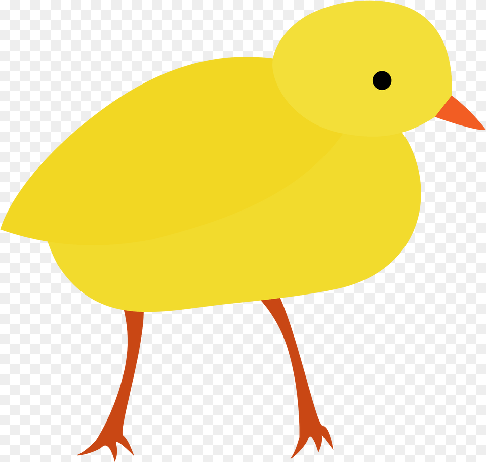 Chick Clipart, Animal, Bird, Canary Free Png