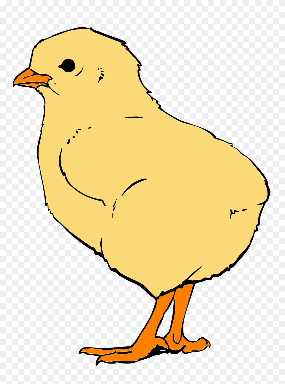 Chick Clipart, Animal, Bird, Chicken, Fowl Png Image