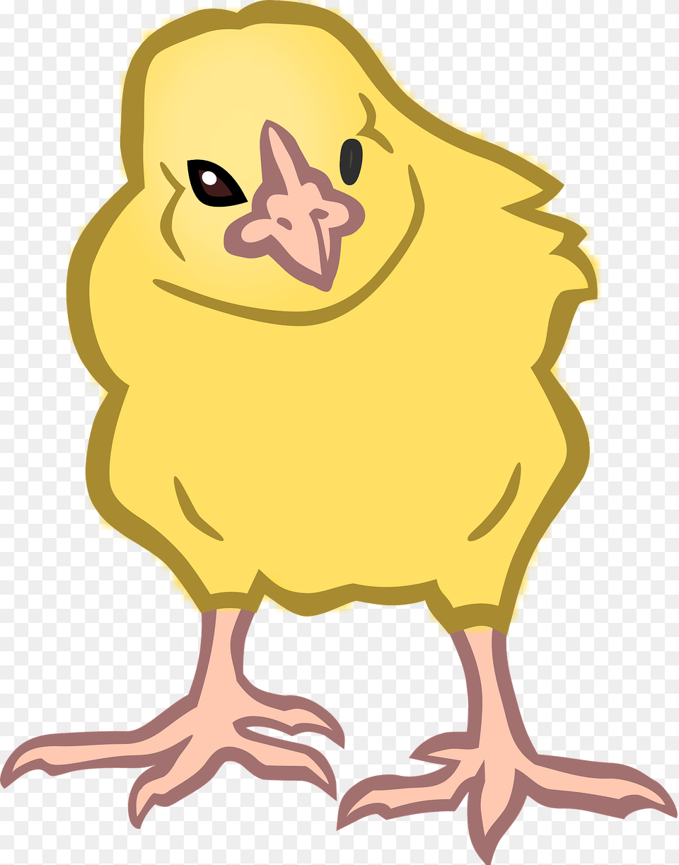 Chick Clipart, Animal, Bird, Fowl, Poultry Png Image