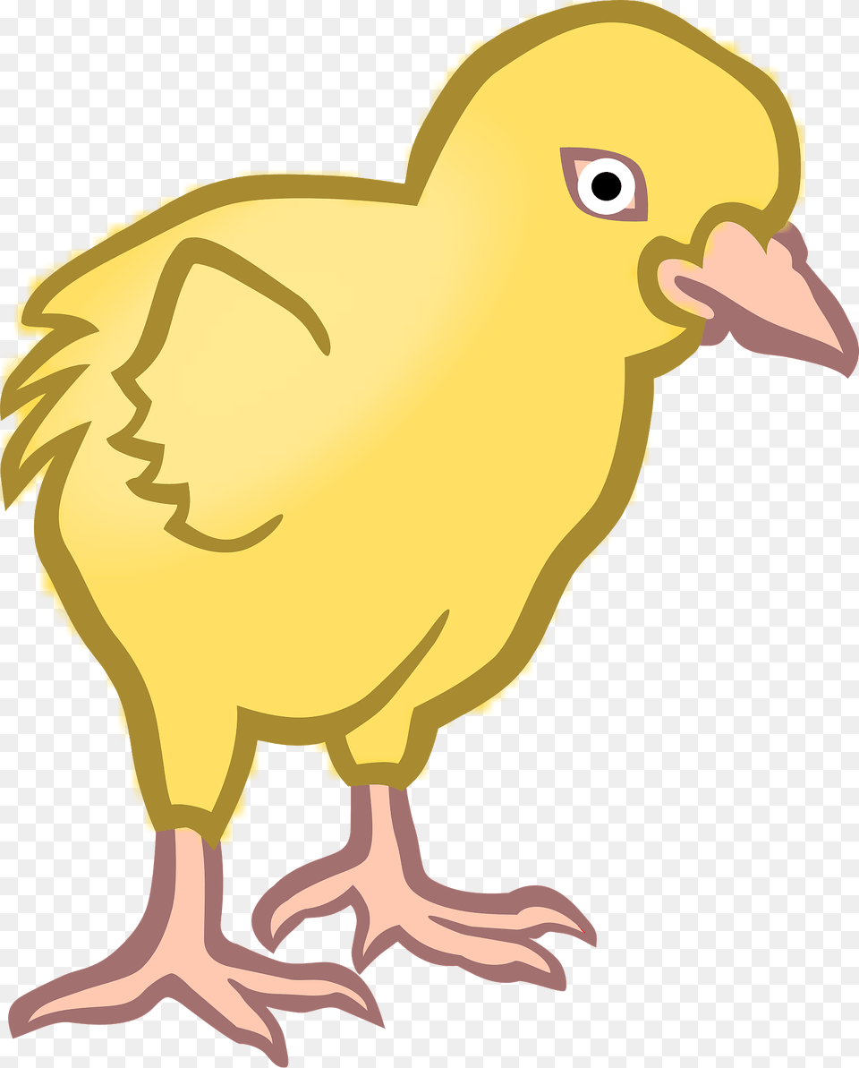Chick Clipart, Animal, Bird, Kangaroo, Mammal Free Transparent Png