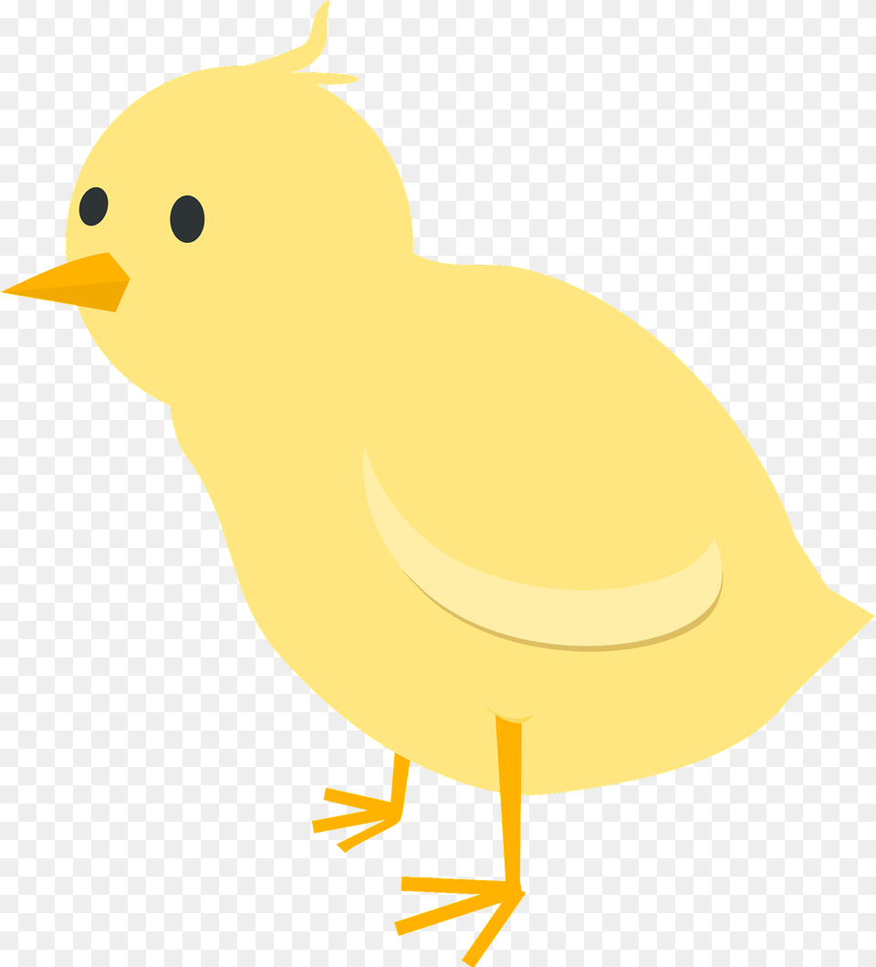 Chick Clipart, Animal, Bird, Fish, Sea Life Png Image