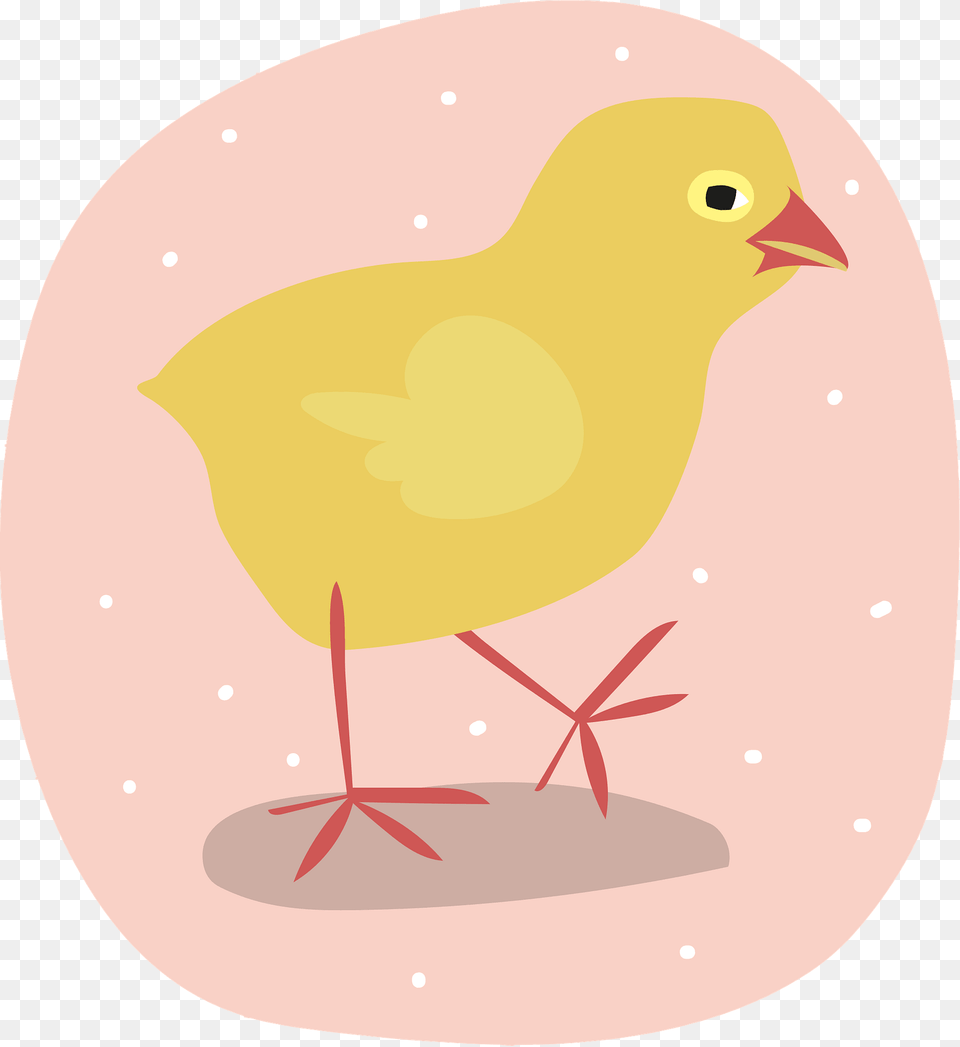 Chick Clipart 2008, Animal, Bird, Canary Png