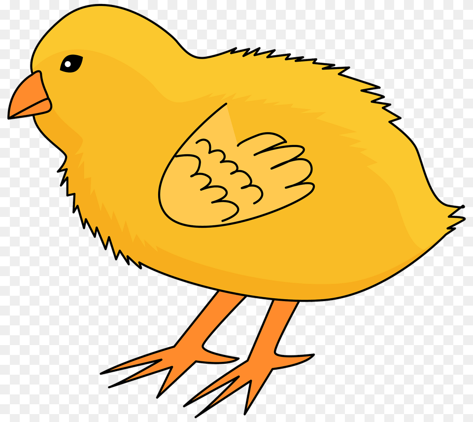 Chick Clipart, Animal, Bird, Fish, Sea Life Free Transparent Png