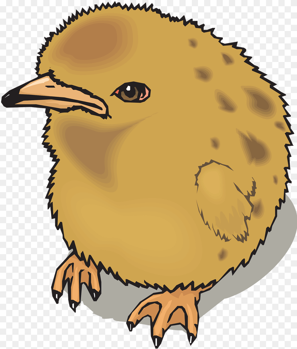 Chick Clipart, Animal, Person, Beak, Bird Free Transparent Png