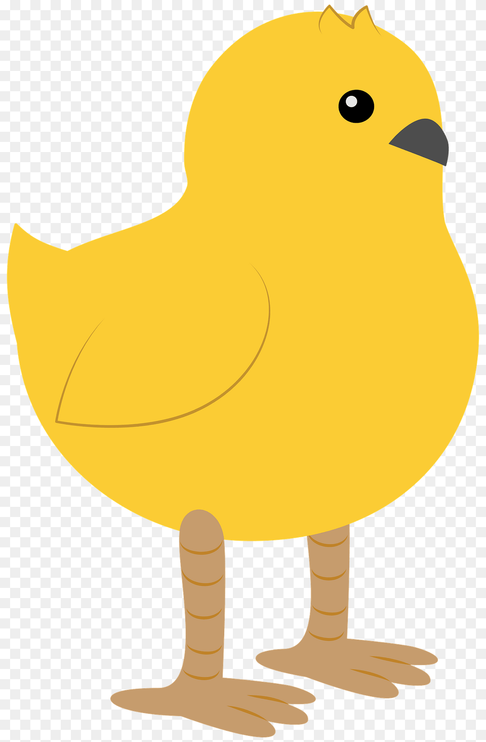 Chick Clipart, Animal, Bird, Canary, Astronomy Png Image