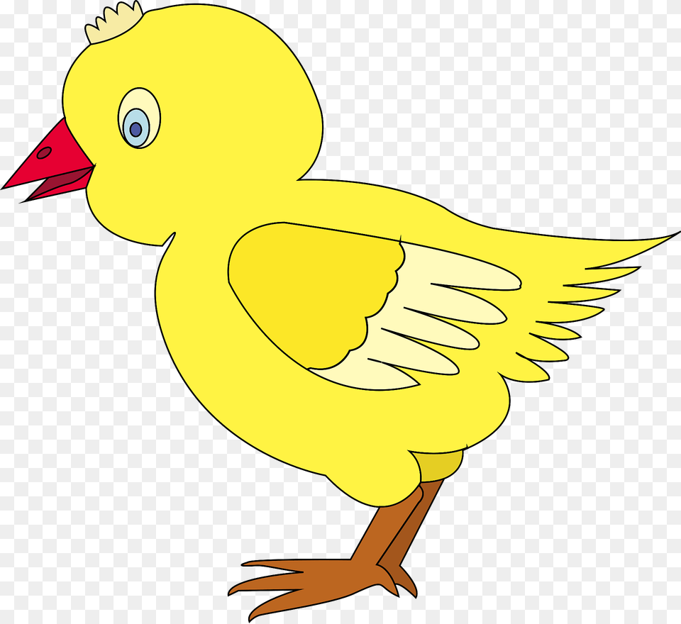 Chick Clipart, Animal, Beak, Bird, Fish Png