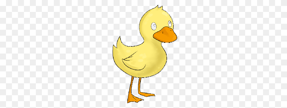 Chick Cliparts, Animal, Bird, Duck, Beak Png Image