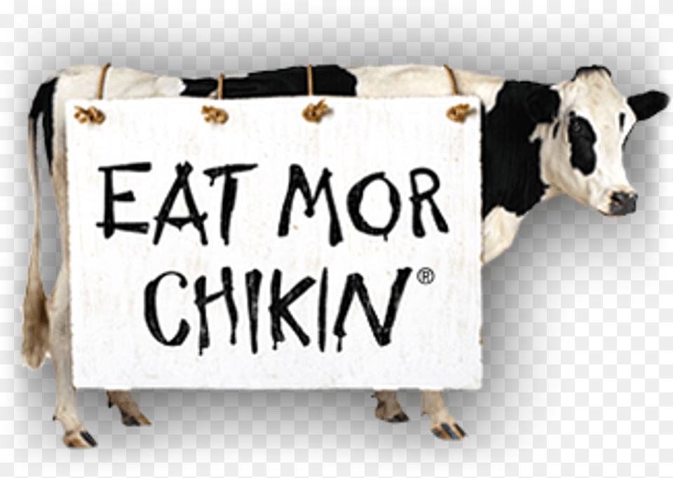 Chick Fil A Eat More Chicken, Animal, Cattle, Cow, Livestock Png Image