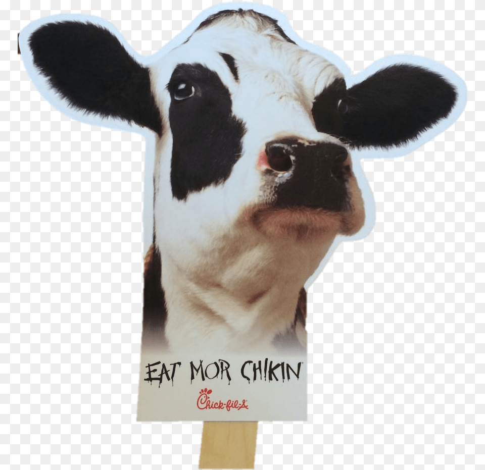 Chick Fil A Logo Eat Mor Chikin Cow, Animal, Cattle, Livestock, Mammal Free Png Download