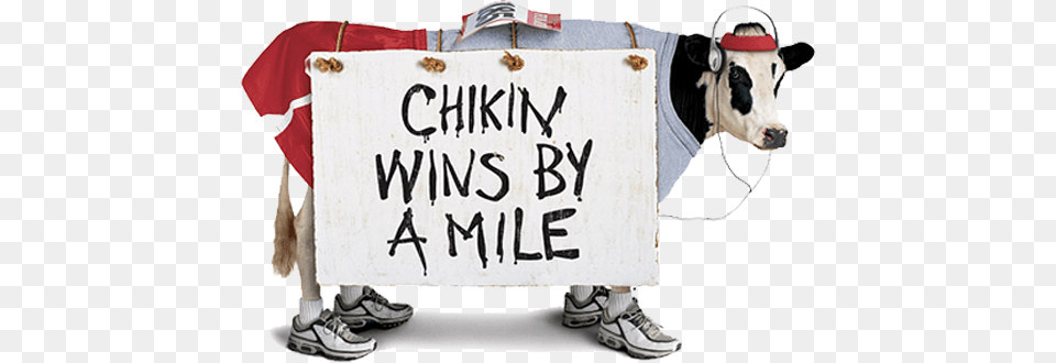 Chick Fil A Team Needs A Co Chair For Next Year Chick Fil A Cow Running, Clothing, Footwear, Shoe, Animal Free Png Download