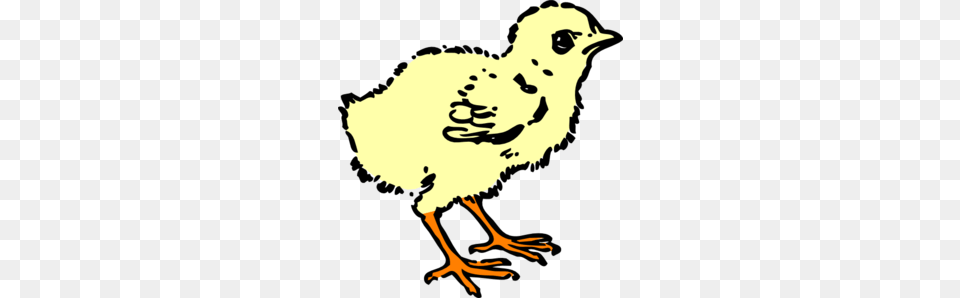 Chick In Color Clip Art, Person, Animal, Bird, Fowl Png Image