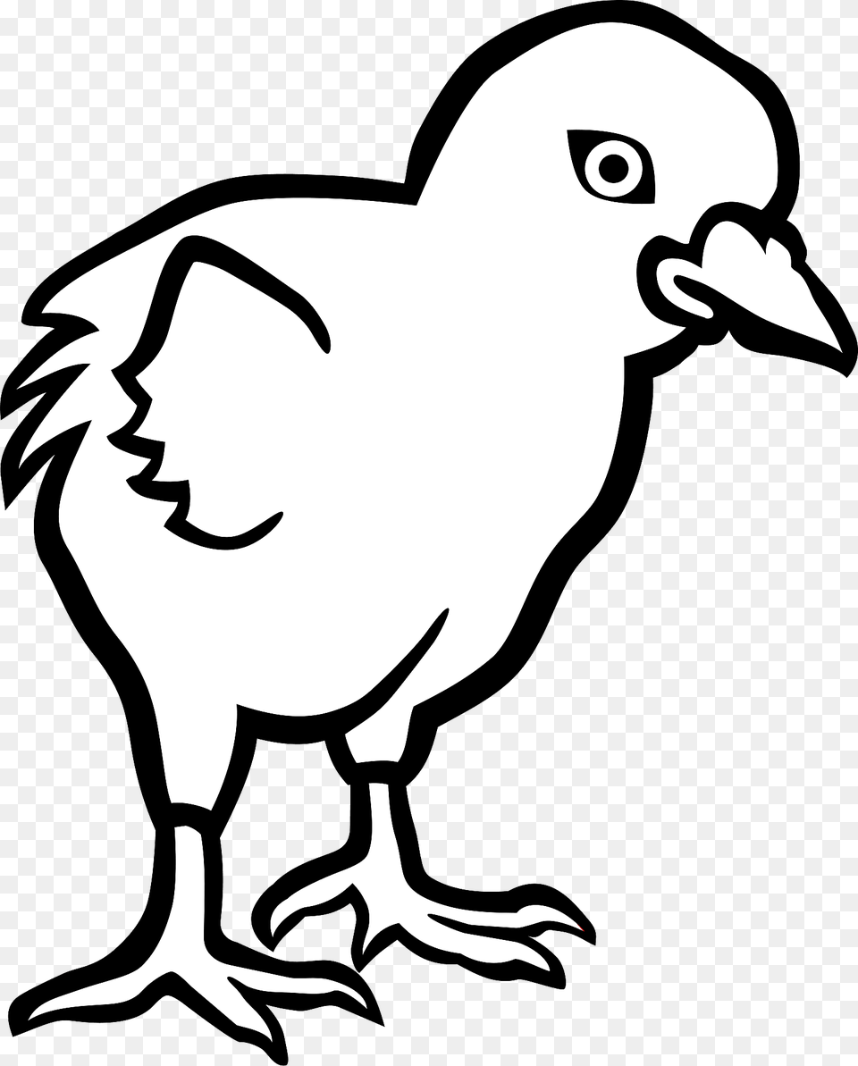 Chick Line Art Clipart, Animal, Beak, Bird, Vulture Png