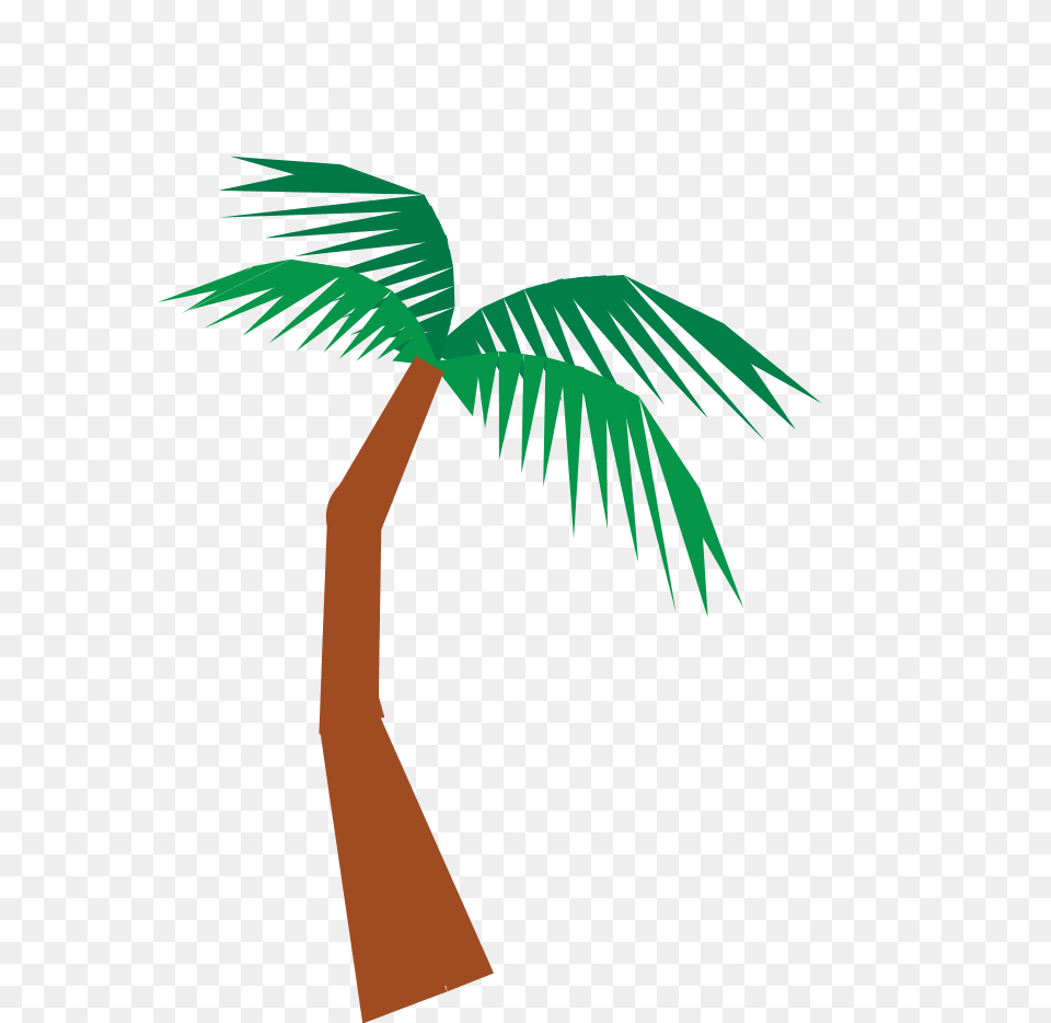 Chicka Chicka Boom Boom, Palm Tree, Plant, Tree, Person Free Png Download