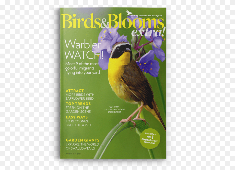 Chickadee, Animal, Bird, Advertisement, Poster Png Image